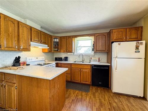 1191 Windham Road 12, Simcoe, ON - Indoor Photo Showing Kitchen With Double Sink