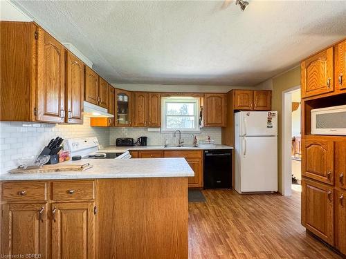 1191 Windham Road 12, Simcoe, ON - Indoor Photo Showing Kitchen With Double Sink