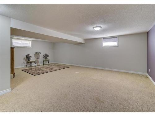 38 Pheasant Trail, Port Dover, ON - Indoor Photo Showing Basement