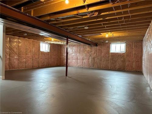 55 Rogers Street, Jarvis, ON - Indoor Photo Showing Basement