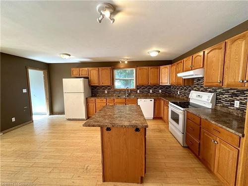 245 Queen Street, Simcoe, ON - Indoor Photo Showing Kitchen With Double Sink