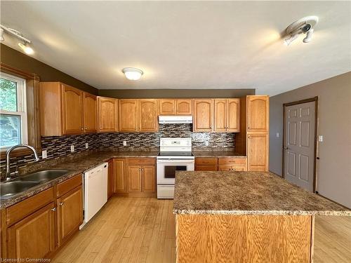 245 Queen Street, Simcoe, ON - Indoor Photo Showing Kitchen With Double Sink