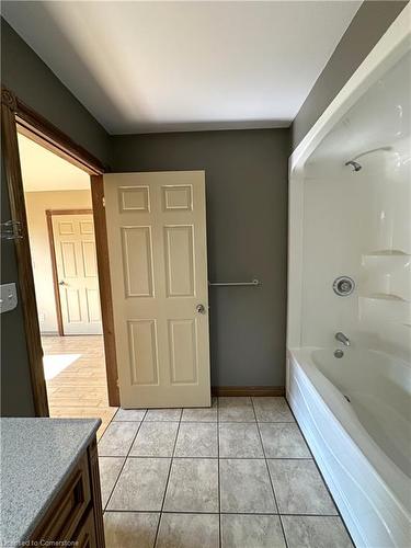 245 Queen Street, Simcoe, ON - Indoor Photo Showing Bathroom