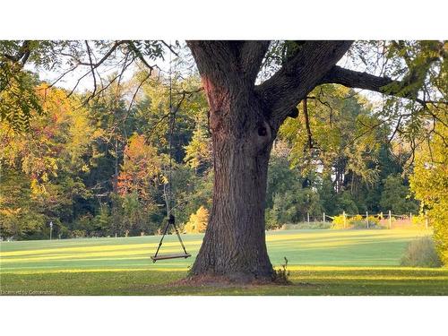 341 Concession 12 Road, Waterford, ON - Outdoor With View