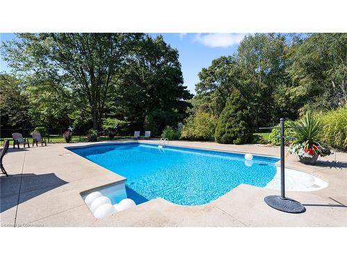 224 Hillcrest Road, Simcoe, ON - Outdoor With In Ground Pool With Backyard