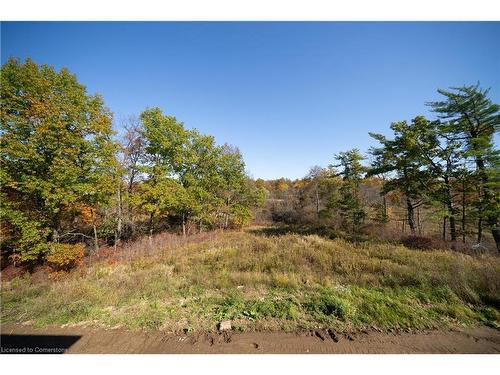 57 Pike Creek Drive, Cayuga, ON - Outdoor With View