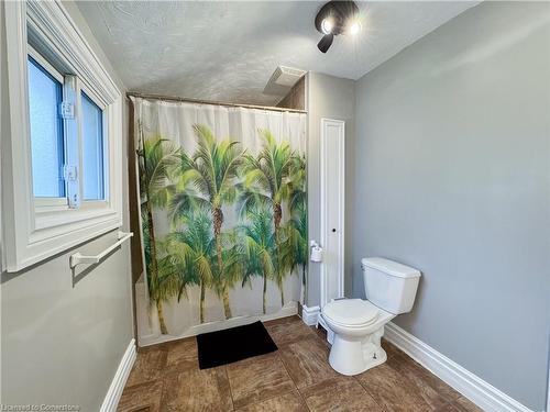 174 Wellington Street, Waterford, ON - Indoor Photo Showing Bathroom