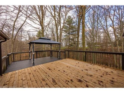 21 Mcdowell Road W, Langton, ON - Outdoor With Deck Patio Veranda