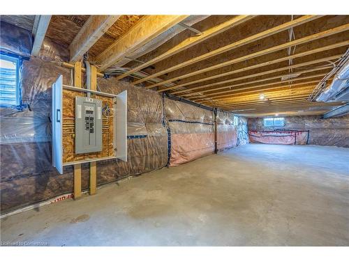 41 Waterthrush Lane, Simcoe, ON - Indoor Photo Showing Basement