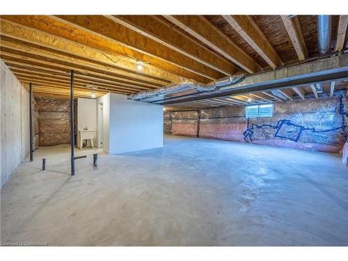 41 Waterthrush Lane, Simcoe, ON - Indoor Photo Showing Basement