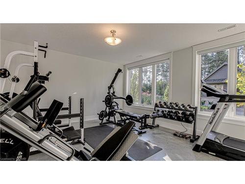 88 Otter View Drive, Otterville, ON - Indoor Photo Showing Gym Room