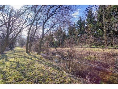 334319 Rossland Line, Ingersoll, ON - Outdoor With View