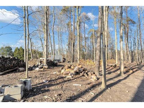 6342 Plank Road, Vienna, ON - Outdoor With View
