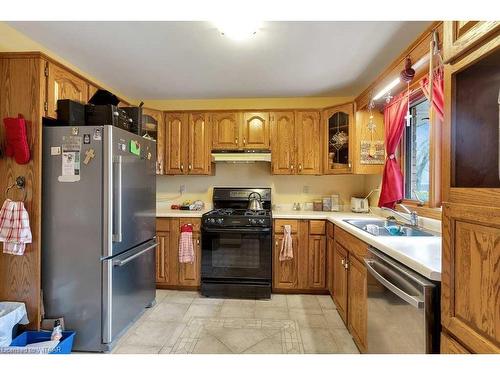 46 Alexander Avenue, Tillsonburg, ON - Indoor Photo Showing Kitchen With Double Sink