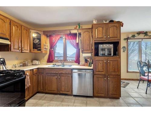 46 Alexander Avenue, Tillsonburg, ON - Indoor Photo Showing Kitchen With Double Sink