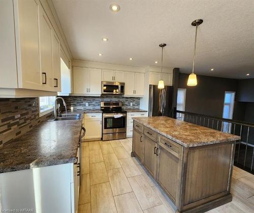 58 Pearl Street, Tillsonburg, ON - Indoor Photo Showing Kitchen With Double Sink With Upgraded Kitchen