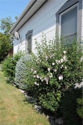 24 Clyde Street, Norwich, ON - Outdoor