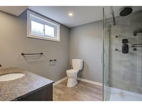 164197 Brownsville Road, Tillsonburg, ON - Indoor Photo Showing Bathroom