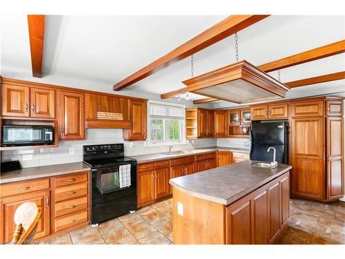 890 2Nd Concession Road, Delhi, ON - Indoor Photo Showing Kitchen With Double Sink