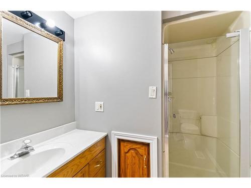 890 2Nd Concession Road, Delhi, ON - Indoor Photo Showing Bathroom