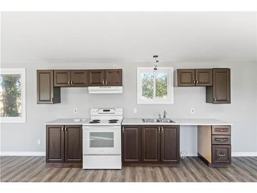 890 2Nd Concession Road, Delhi, ON - Indoor Photo Showing Kitchen With Double Sink