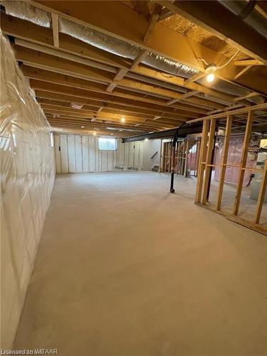 46 Matheson Crescent, Innerkip, ON - Indoor Photo Showing Basement