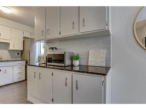 173 Fergus Avenue, Kitchener, ON - Indoor Photo Showing Kitchen