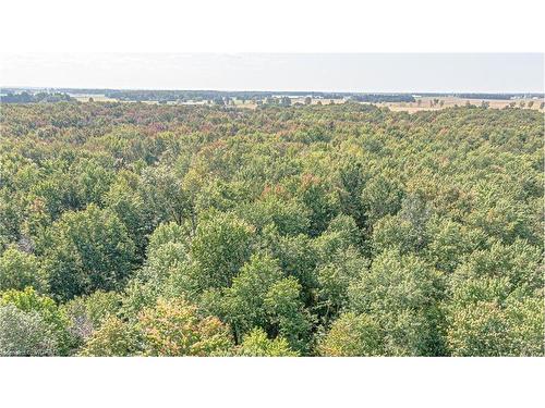 663528 Road 66 Road, Ingersoll, ON - Outdoor With View