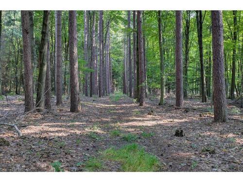 1293 North Road, Langton, ON - Outdoor With View