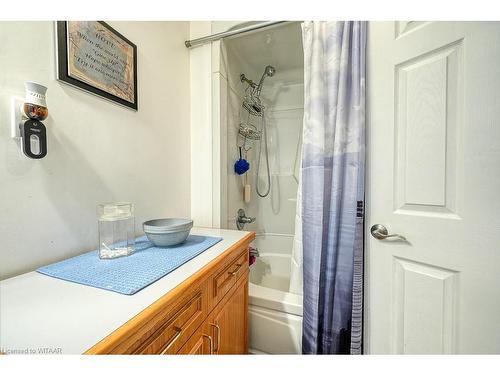 16 Cardinal Drive, Woodstock, ON - Indoor Photo Showing Bathroom