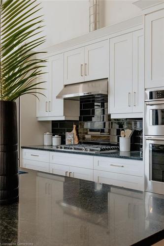 202-247 Brock Street, Amherstburg, ON - Indoor Photo Showing Kitchen With Double Sink