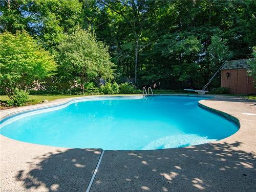 23 Riverside Drive, Kingston, ON - Outdoor With In Ground Pool With Backyard