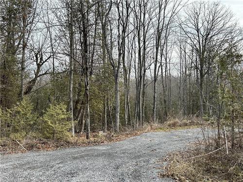 269 9Th Concession Road, Camden East, ON 