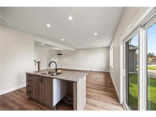 116 Potter Drive, Odessa, ON - Indoor Photo Showing Kitchen With Double Sink