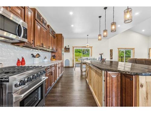 538 Mount Chesney Road, Inverary, ON - Indoor Photo Showing Kitchen With Upgraded Kitchen