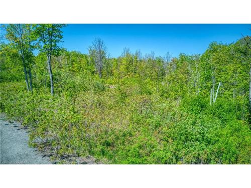 13555 Road 38, Sharbot Lake, ON 