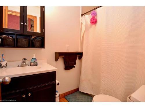 2935 South Shore Road, Greater Napanee, ON - Indoor Photo Showing Bathroom
