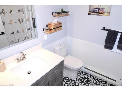 29263 Highway 7, Arden, ON - Indoor Photo Showing Bathroom