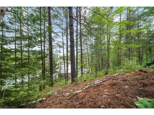 1034 Browns Lane, North Frontenac, ON - Outdoor With View