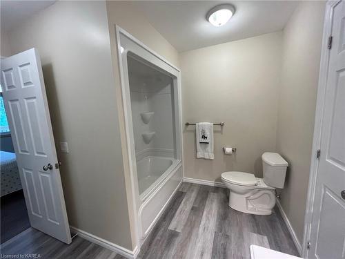24 Skootamatta Lake Road, Cloyne, ON - Indoor Photo Showing Bathroom