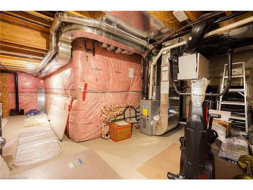 1341 Tremont Drive, Kingston, ON - Indoor Photo Showing Basement