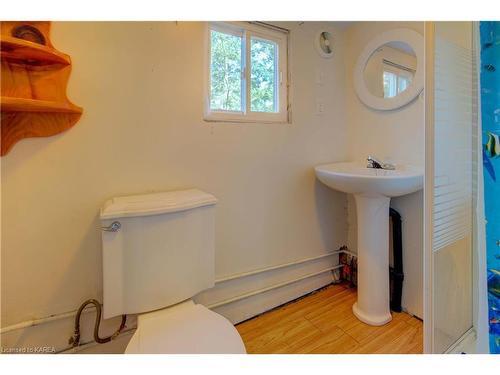 308 Henry Road, South Frontenac, ON - Indoor Photo Showing Bathroom