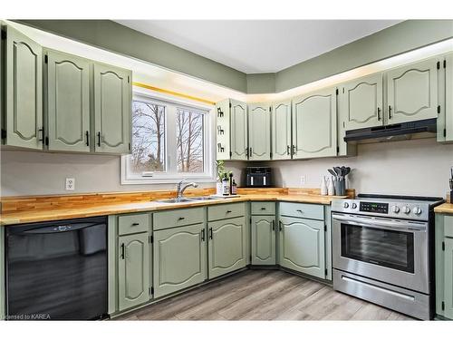 2039 Washburn Road, Inverary, ON - Indoor Photo Showing Kitchen With Double Sink