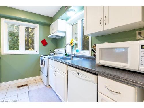 26 Skootamatta Lake Road, Cloyne, ON - Indoor Photo Showing Kitchen With Double Sink