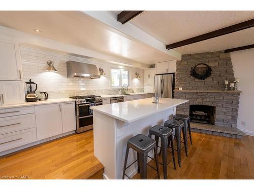 19 Redden Street, Kingston, ON - Indoor Photo Showing Kitchen With Upgraded Kitchen