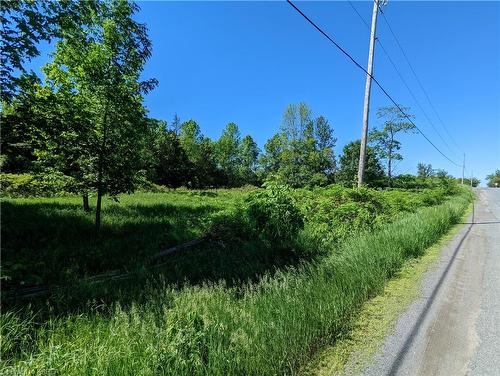 Pt Lt 14-15 Pinegrove Road, Greater Napanee, ON 