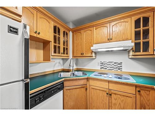 107-66 Greenview Drive, Kingston, ON - Indoor Photo Showing Kitchen With Double Sink