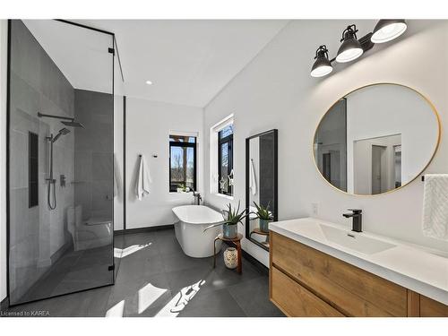 953 County Road 7, Napanee, ON - Indoor Photo Showing Bathroom