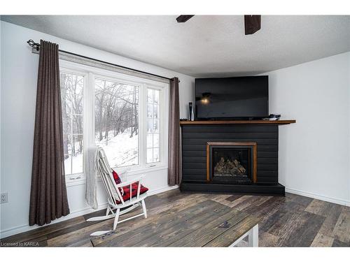 8 Garden Street, Lansdowne, ON - Indoor Photo Showing Living Room With Fireplace