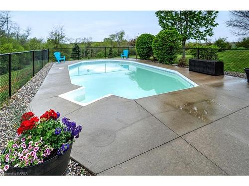 201 Colebrook Road, Yarker, ON - Outdoor With In Ground Pool With Backyard